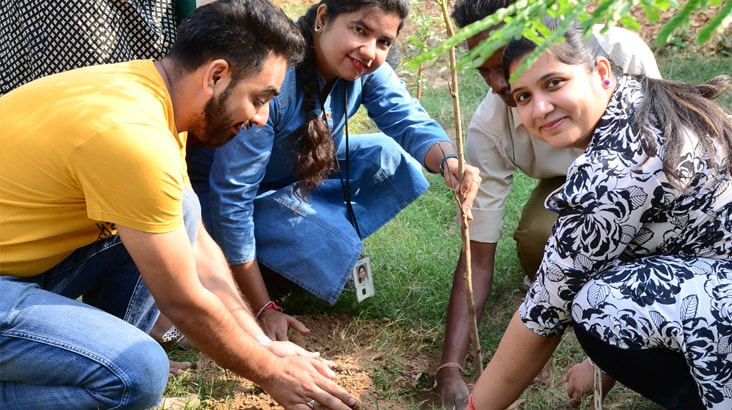 Infosys Chandigarh Conducts Plantation Drive Infosys Chandigarh Conducts Plantation Drive