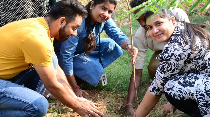 Infosys Chandigarh Conducts Plantation Drive