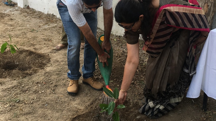 Infosys Chandigarh Conducts Plantation Drive