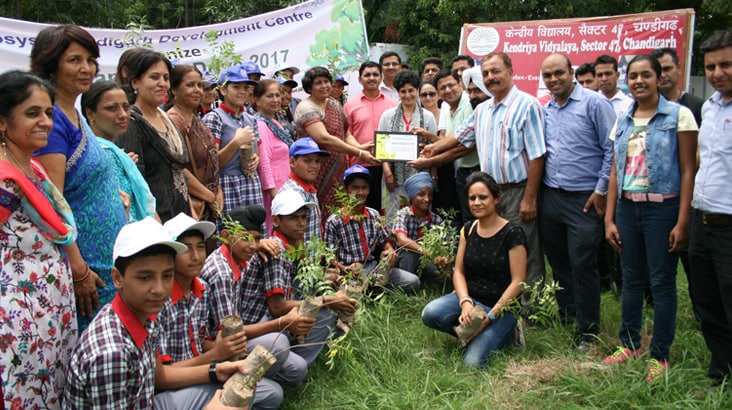 Infosys employees planting saplings along with students Infosys employees planting saplings along with students