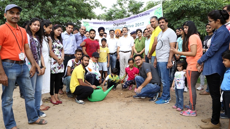 Tree Plantation in Chandigarh IT Park Tree Plantation in Chandigarh IT Park