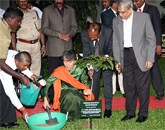 H. E. Daw Aung San Suu Kyi plants a Spanish Mahogany sapling.