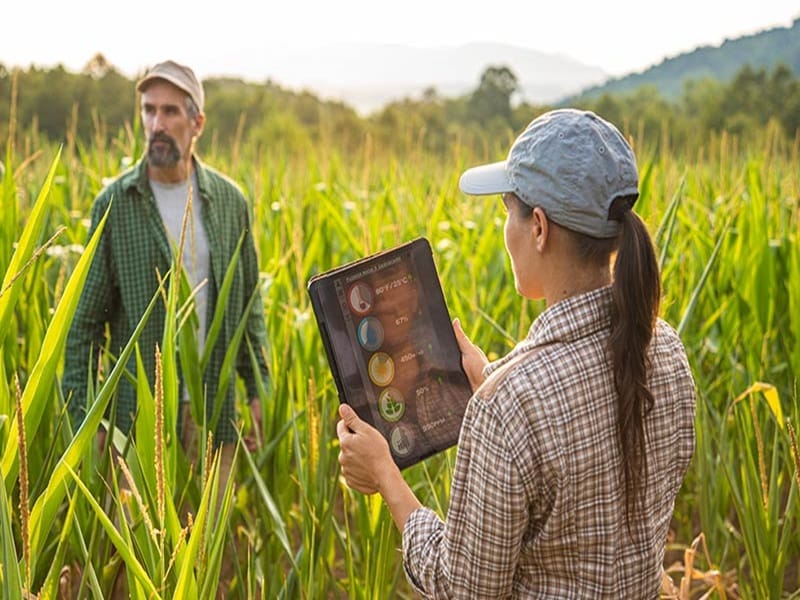 Agriculture Overview