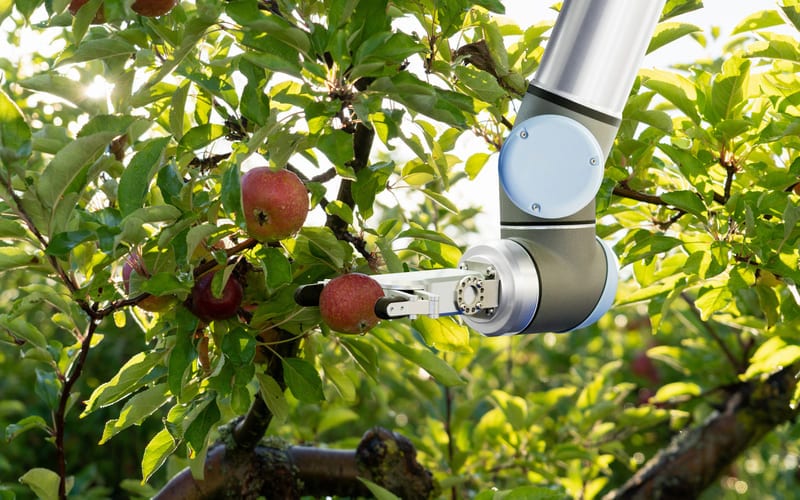 Smart Food Technology for Sustainable Farming