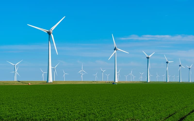 Towards a Sustainable Future with Infosys