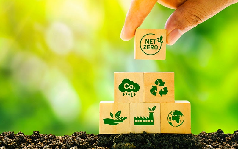 Going from Low to Zero Carbon in 12 Years
