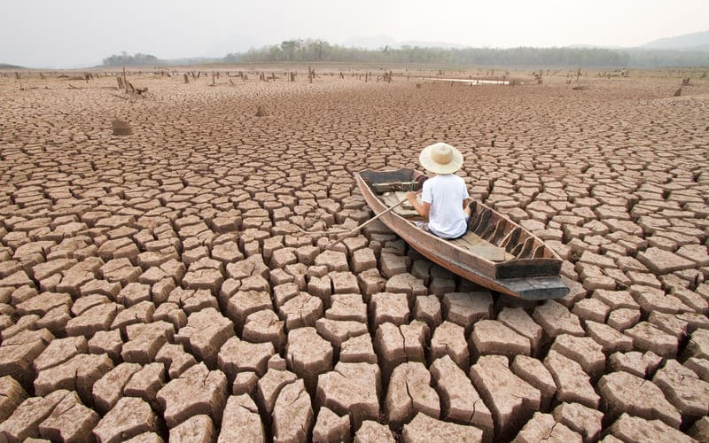 Embedding Sustainability into Insurer’s Digital Transformation