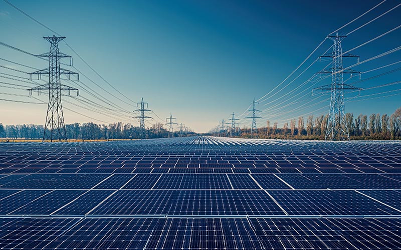 How Black Swan Events drive strategic shifts in the path to Net Zero