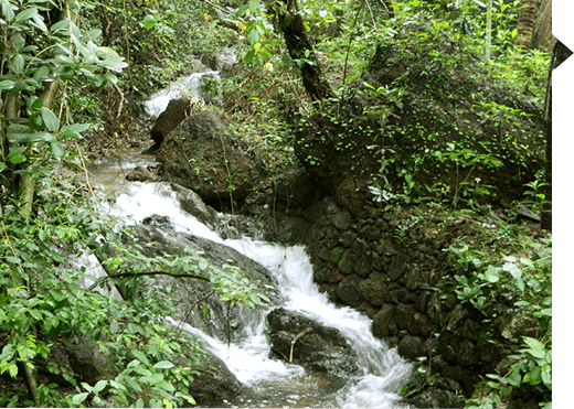 Lakes and streams