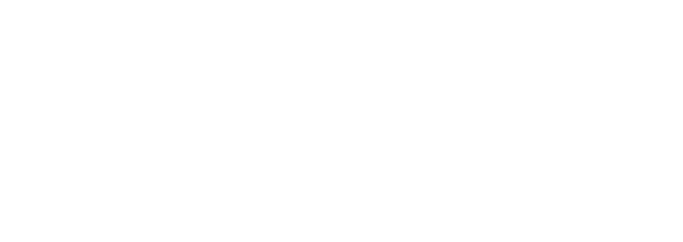 Digital Innovation Partner