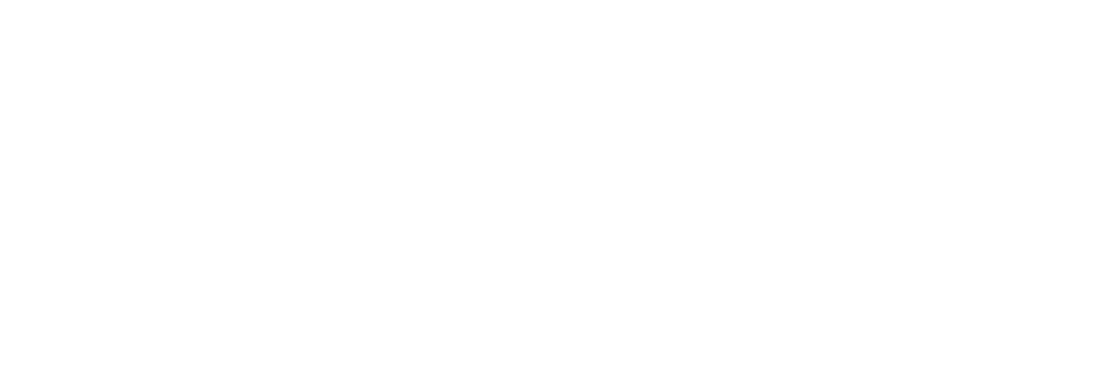 Digital Innovation Partner